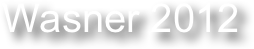 Wasner 2012