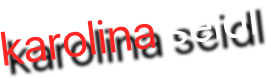 karolina seidl 