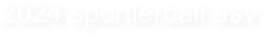 2024 sportlerball asv